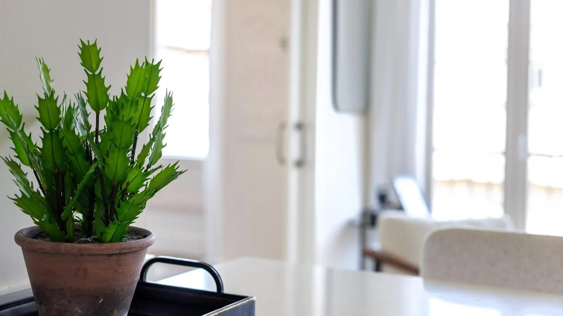 Granada Luxury Apartments